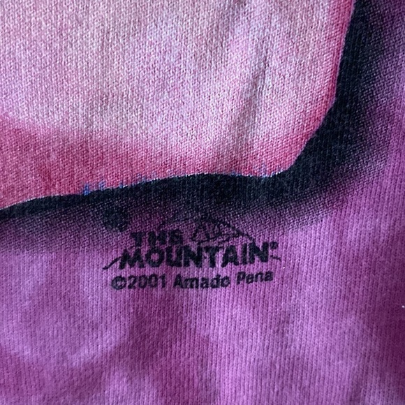 The mountain vintage y2k 3/4 sleeve graphic top - Picture 5 of 7